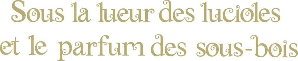 Sous la lueur des lucioles